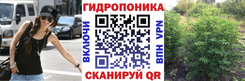 A PVP Щёлкино