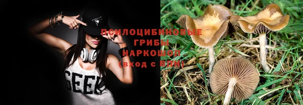дурь Арсеньев